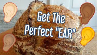 How to Get an EAR on Sourdough Bread