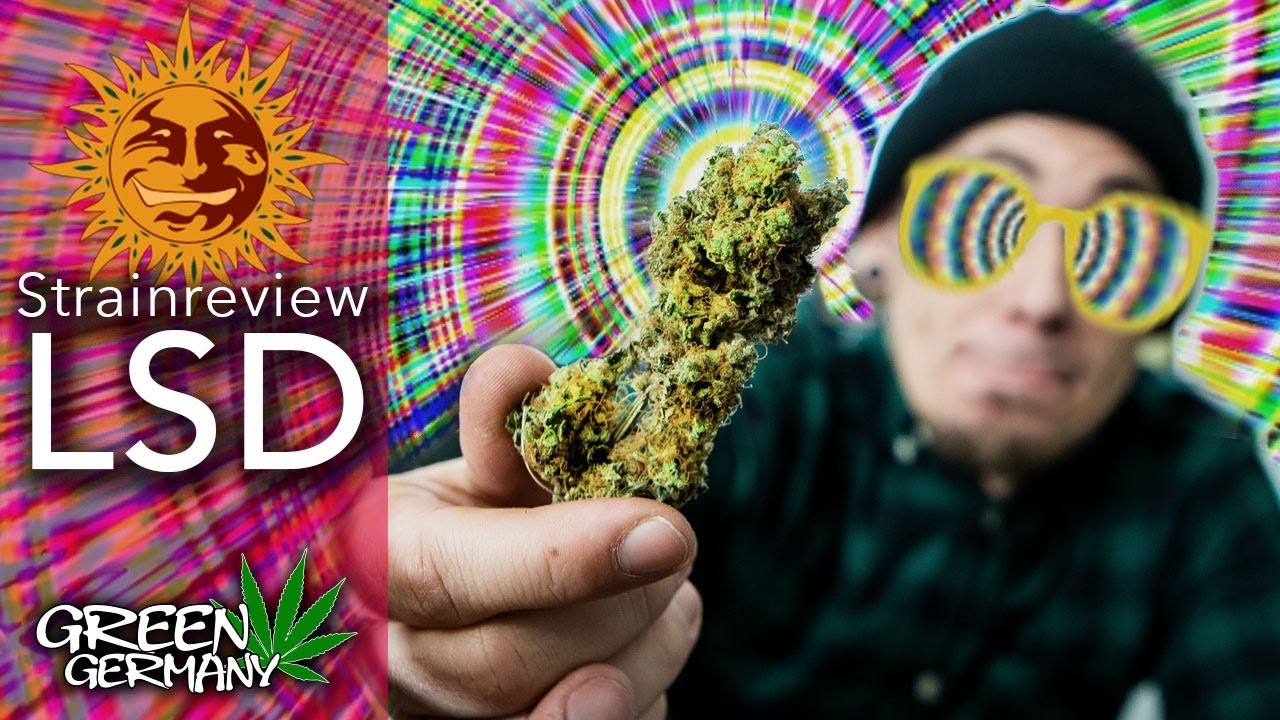Cannabis Review: ☀️LSD™