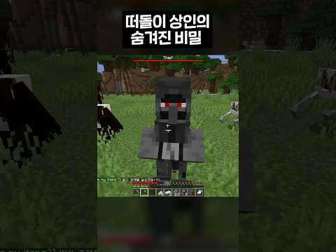 마인크래프트 떠돌이 상인의 비밀 #shorts