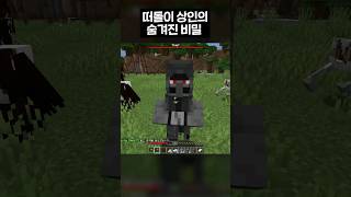 마인크래프트 떠돌이 상인의 비밀 #shorts