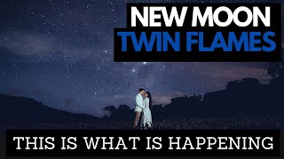 Twin Flame Energy Update: 11/11 Portal & New Moon