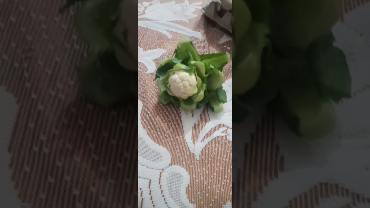 duniya di sab too choti goobi