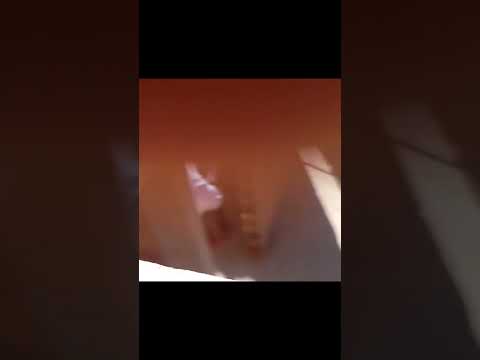 بــنـتي مـشـات تـقـرا بنتيـمشاتـتقرا بنتي مشات تقرا