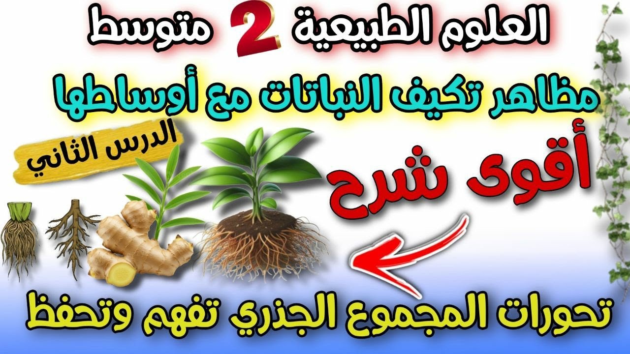 الدرس الثاني: تحورات المجموع الجذري ( الجزء الترابي) العلوم الطبيعية السنة الثانية متوسط اروع شرح 