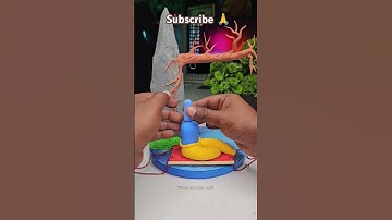 Diy Krishna ji jhula 🦚 Krishna ji jhula making ♥️ Jai shree Krishna #shorts #short