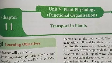 11th std botany chapter 11 unit 5 plant physiology // All book back answers 