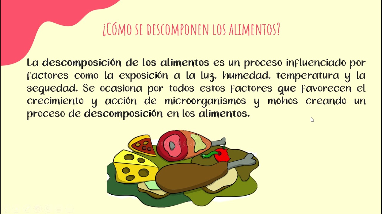 Cocción y descomposición de los alimentos - YouTube