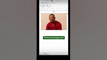 Remove image Background in Excel! #exceltrick2024 #excel #excelshortcuts #shorts #viralvideo