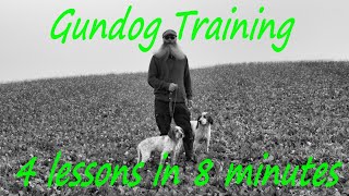 Gundog Puppy Training,4 lessons in 8 minutes.