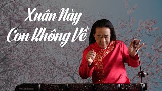 XUÂN NÀY CON KHÔNG VỀ - Đàn Bầu PHẠM ĐỨC THÀNH ( Multi language)