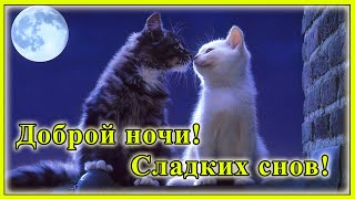 Доброй ночи! Сладких снов!