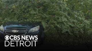 Tree falls and damages a car during severe storm in Center Line