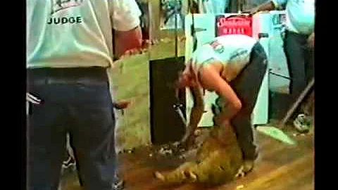 Rodney sutton lamb shearing record
