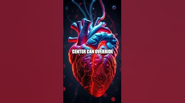 The Neuroscience of Decision Making