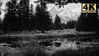 Relaxing Still Stream | 8 HOURS | 4K @VisualEscape