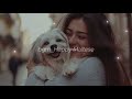 Happy Maltese #bgm #배경음악 #lo #music #연주음악
