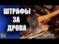 Штрафы за дрова какое наказание