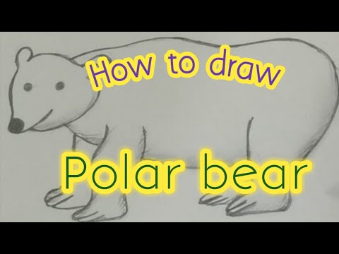 How to draw a Polar bear|Learn easy step-by-step polar bear drawing