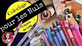 Coloriage Pour Adultes Comment Utiliser Les Crayons De Cire Crayola 