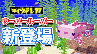 マイクラ1 17 ウーパールーパー Axolotl が新登場 繁殖方法 スポーン場所 捕獲方法などを詳しく解説 マインクラフト Snapshot w51a 洞窟と崖アップデート Youtube