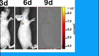 561AA468738F05F4DCA3BE129A5B4A#1