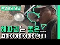 [생활의 달인] 해파리? 생존에 좋은 음....끄아아아악!!│Ep.493