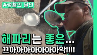 [생활의 달인] 해파리? 생존에 좋은 음....끄아아아악!!│Ep.493