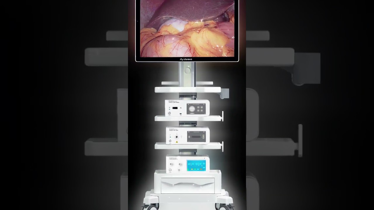 the truth behind endoscope camera system