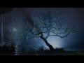 Loreena Mc Kennitt  - The Dark Night of the Soul  (subtitulado)