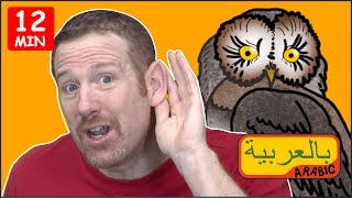 حيوانات سحرية مع  ستيف وماجي | لغة عربية للأطفال | ستيف وماجي اللغة العربية