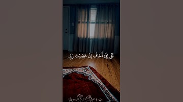 #الشيخ_ماهر_المعيقلي #سورة_الزمر #القرآن_الكريم اكتب_شيء_تؤجر_عليه