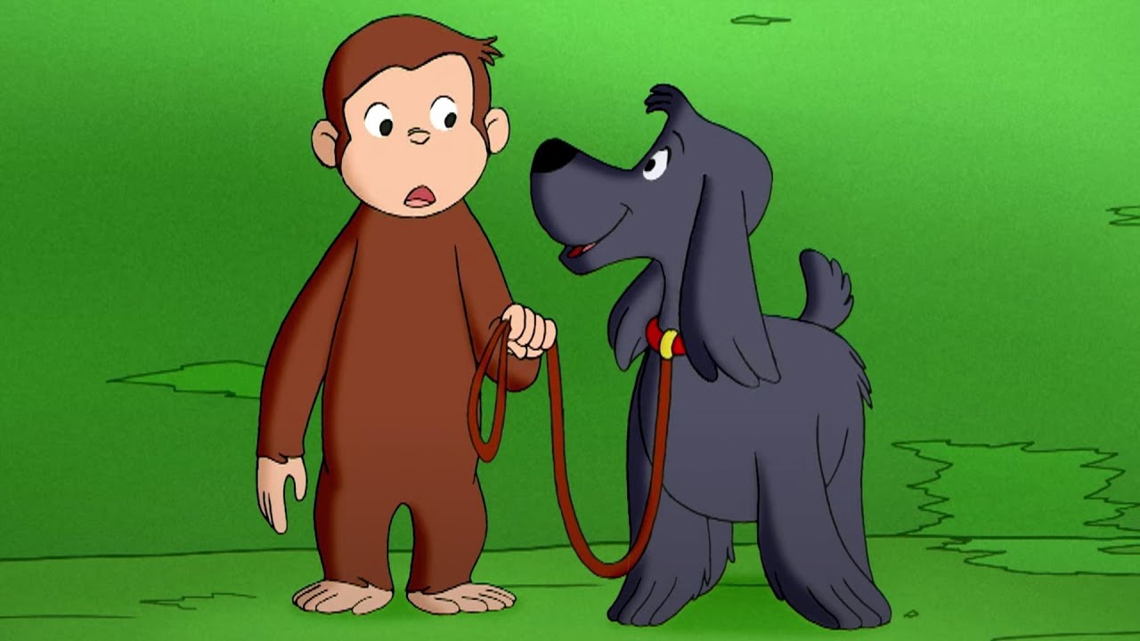 犬のしつけ 🐵 おさるのジョージ - YouTube