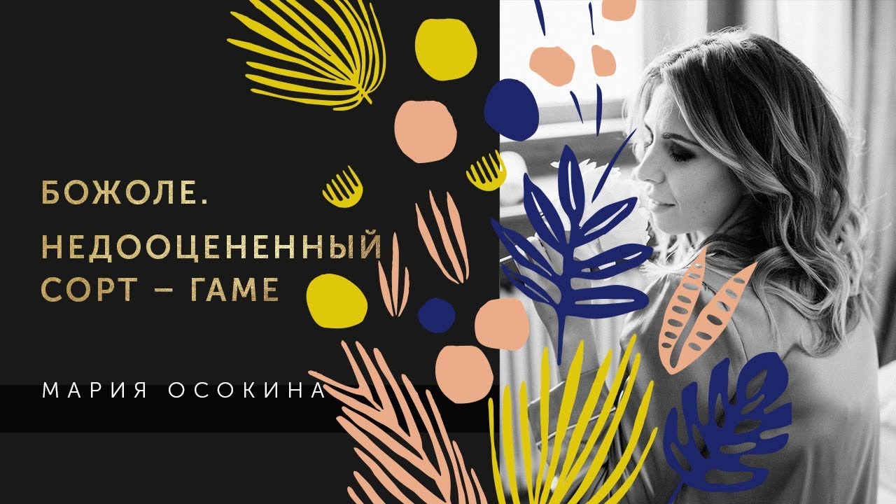 Божоле. Недооцененный сорт – гаме