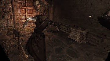 Skyrim VR Werewolf Gameplay - Dismembering Framework