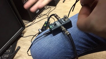 Looper pedal (ammoon)