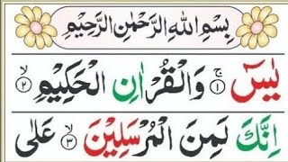 Full Surah Yasin Recitation with HD Arabic Text  Surah Yaseen Pani Patti Voice