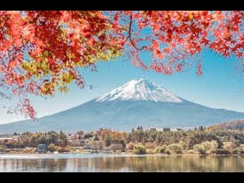富士山下
