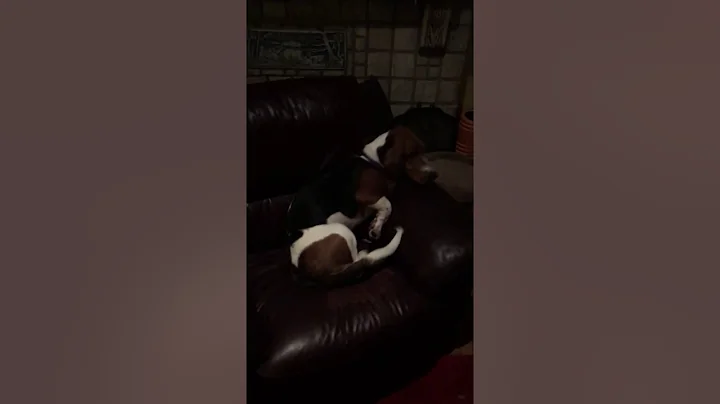 Oli Feigns Exhaustion to Avoid Pre-Bedtime Potty