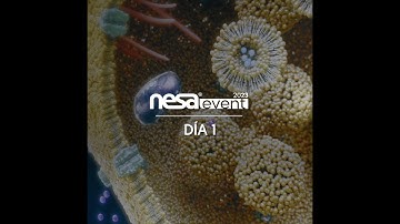 NESA Event 2023 Day 1. European University of Madrid Feat. NESA WORLD®