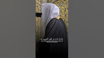 ﴿لَقَد كانَ في قَصَصِهِم عِبرَةٌ لِأُولِي الأَلبابِ﴾ | تلاوة بهيّة للشيخ د.#خالد_المهنا حفظه الله