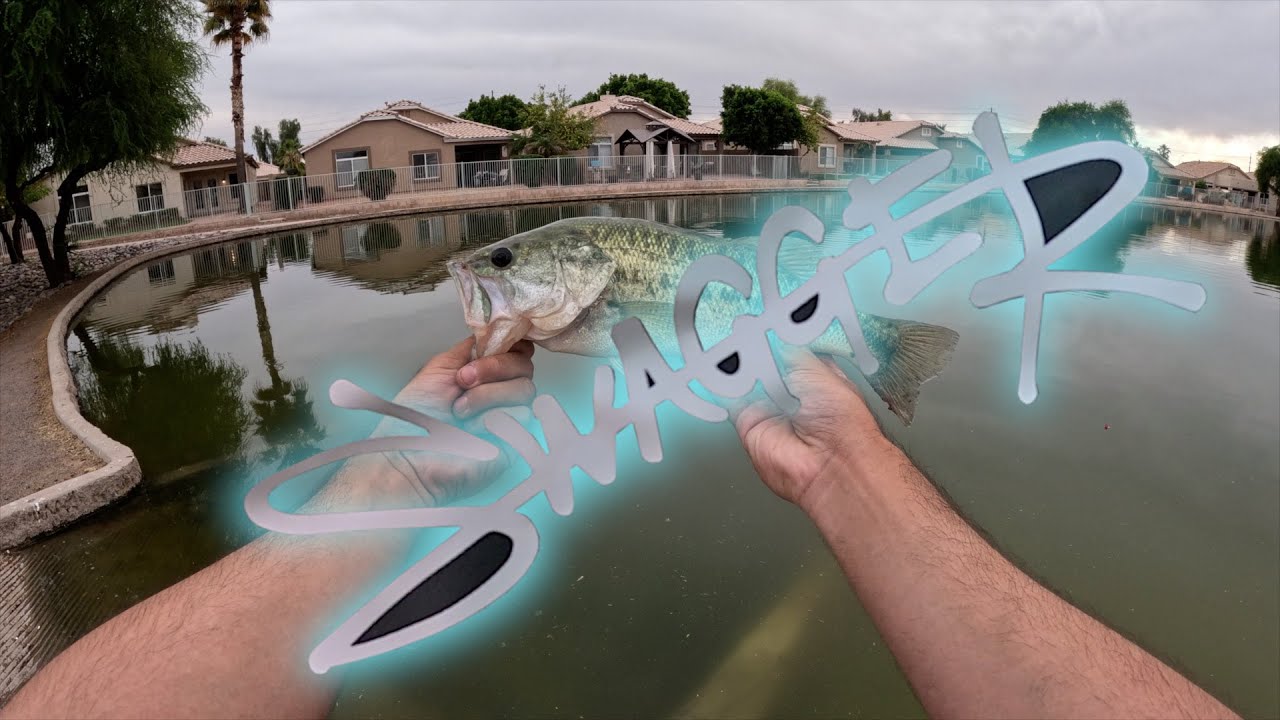 Bass Fishing Adventure: Featuring Daiwa Swagger