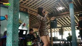 Download lagu goyang macan, mama cantik aura paramitha mawar merah, mantap banget jangan sampai lepas