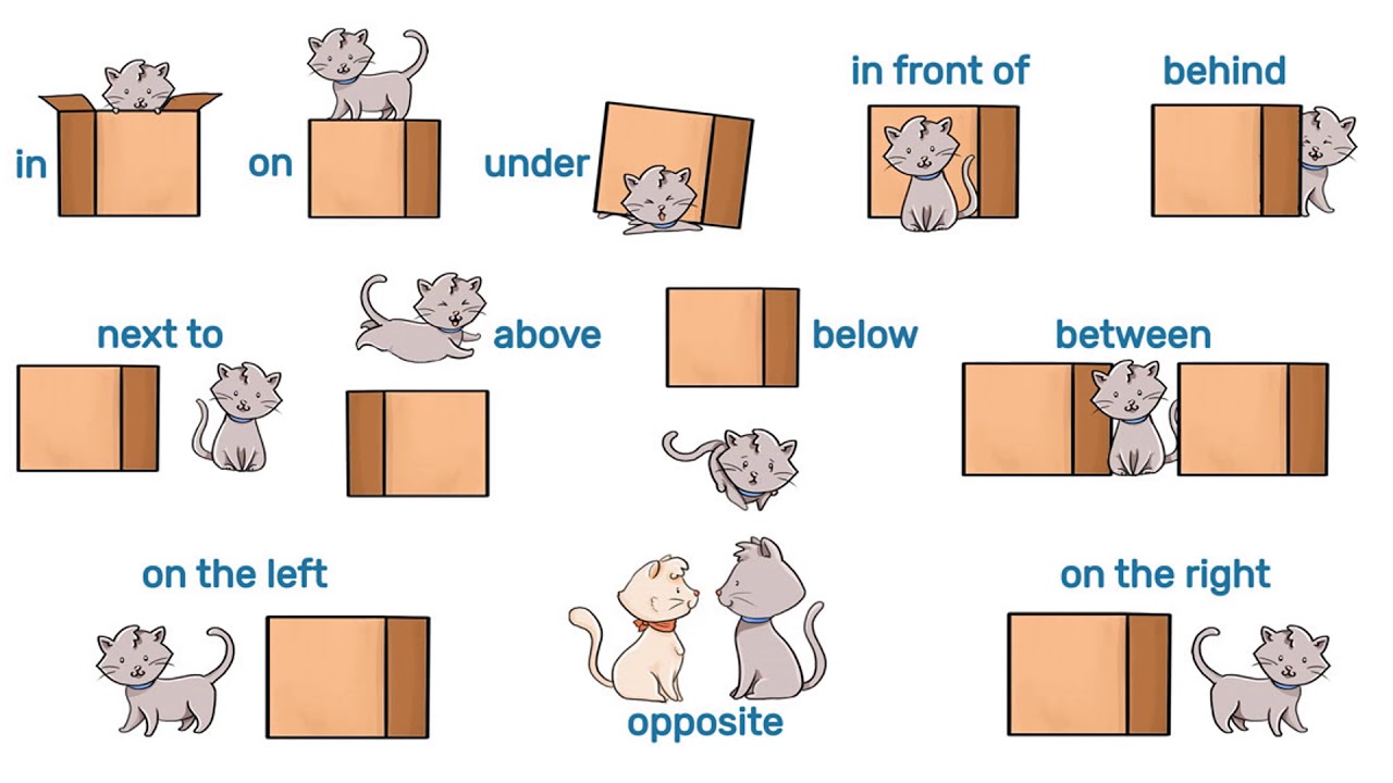 Look at this these pictures. Prepositions of place предлоги места. Английские предлоги места. In on under в английском языке. Предлоги in on under behind next to in Front of.