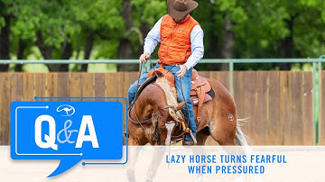 Working With a Lazy, Fearful Horse - Q&A