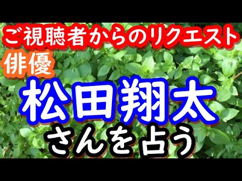 【占い】俳優　松田翔太さんを占う