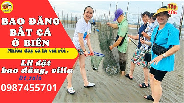 Bao đăng đồi nhái vũng Tàu - Gia đình 3 thế hệ trải nghiệm bắt cá ở biển rất thú vị #406