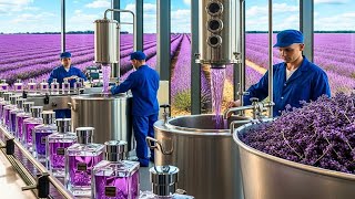 How Perfume Is Made - Inside a Luxury PERFUME Factory
