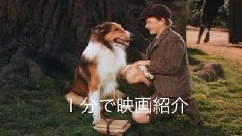 1分で映画紹介「名犬ラッシー 家路」