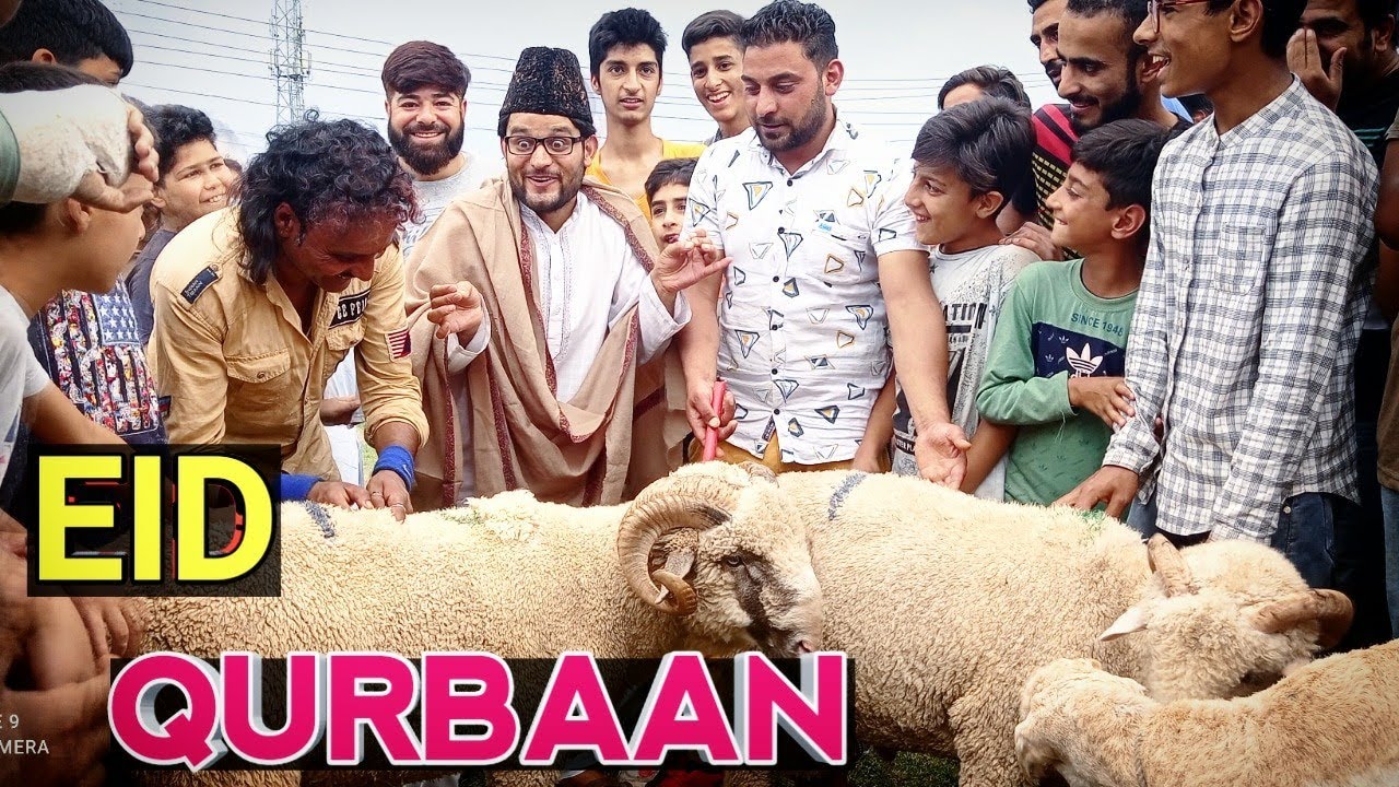 Eid Qurbaan  Funny video by kashmiri comedy kings