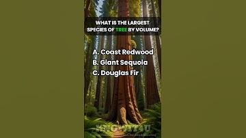 🌳✨️📐 General Knowledge Quiz Part 23 #generalknowledge #generalknowledgequiz #gk #challenge #quiz